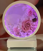 Bluetooth Speaker With Preserved Flowers