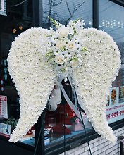 Angel Wings