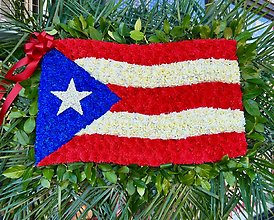 Puerto Rican flag