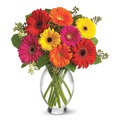 Gerbera Brights love Bouquet