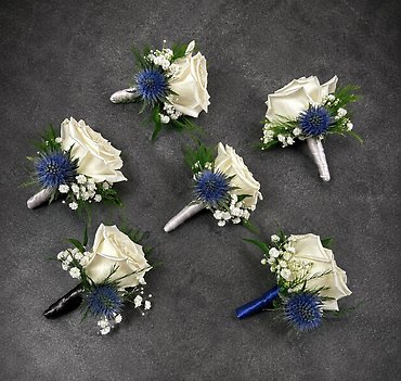 White Spray Rose & Blue Thistle Boutonnière Collection