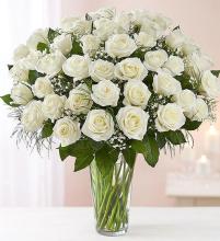 Ultimate Elegance Long Stem White Roses Product Skus 48 Stems W