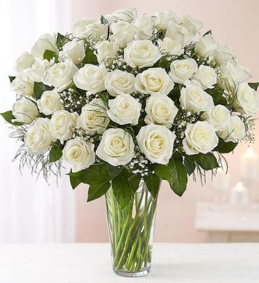 Elegance Long Stem White Roses 48 Stems