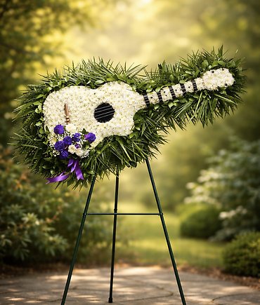 Guitar Custom Sympathy