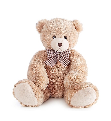 A Love Teddy Bear