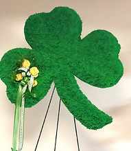 Irish Shamrock