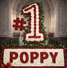 Custom Poppy Tribute