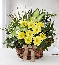 Dish Garden with Fresh Cut Flowers