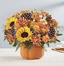 Pumpkin N\' Posies