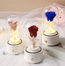 preserved rose, light and bluetooth