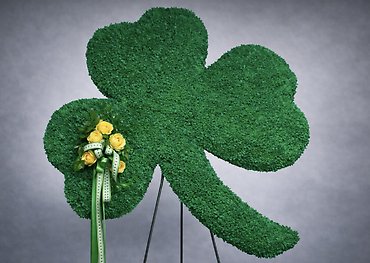 Shamrock Tribute