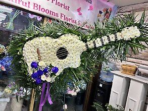 Guitar Custom Sympathy