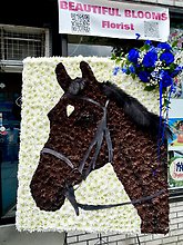 HORSE CUSTOM SYMPATHY