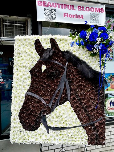 HORSE CUSTOM SYMPATHY