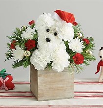 Santa Paws