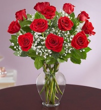 A Premium  12 Stem Red Roses