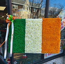 Ireland Flag