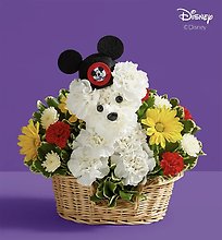 a-DOG-able Disney Mickey Mouse