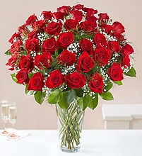 AN Ultimate Elegance 48  Long Stem Red Roses