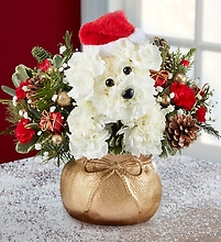 A Santa Paws