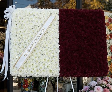 Country Galway Ireland Flag