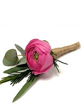 Pink Ranunculus Boutonnière