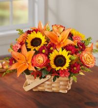 Fields Of Europe For Fall Basket