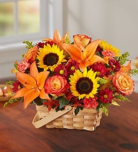 Fields Of Europe For Fall Basket