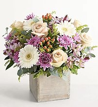 Seraphina’s Garden