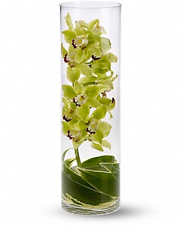 Zensational Orchids in Glass