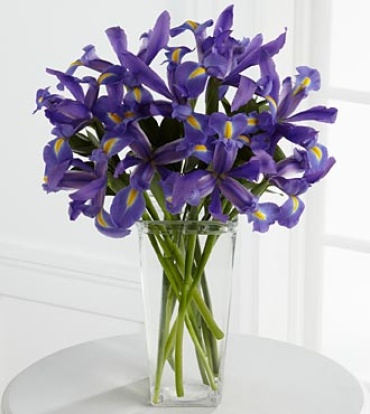 The Iris Riches? Bouquet
