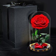Preserved Red Roses