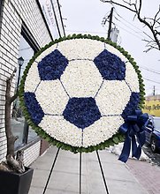 Soccer Ball Tribute