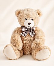 Classic Teddy Bear Plush