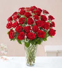 AN Ultimate Elegance 36 Long Stem Red Roses