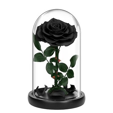 Preserved Black Rose