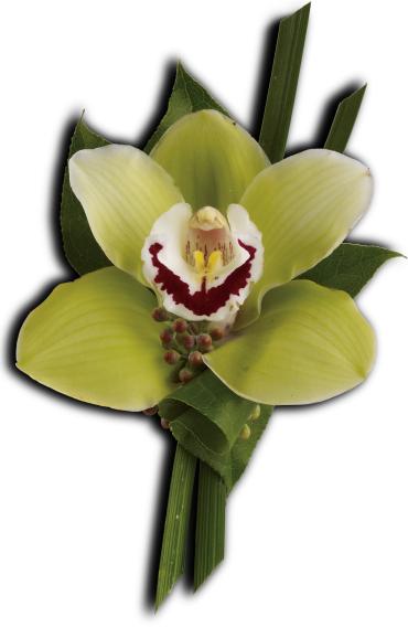 Green Orchid Boutonniere