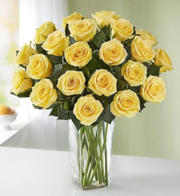 Yellow Roses, 24 Stems